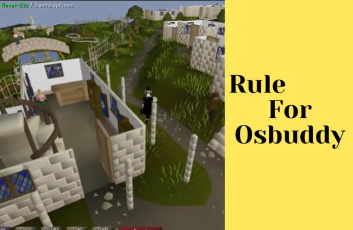 The 5-Minute Rule for Osbuddy
