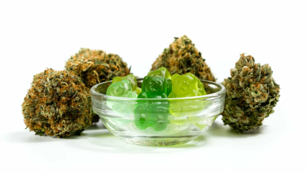 Wholesale CBD Gummies – Becoming a CBD Distributor Wholesale CBD Gummies