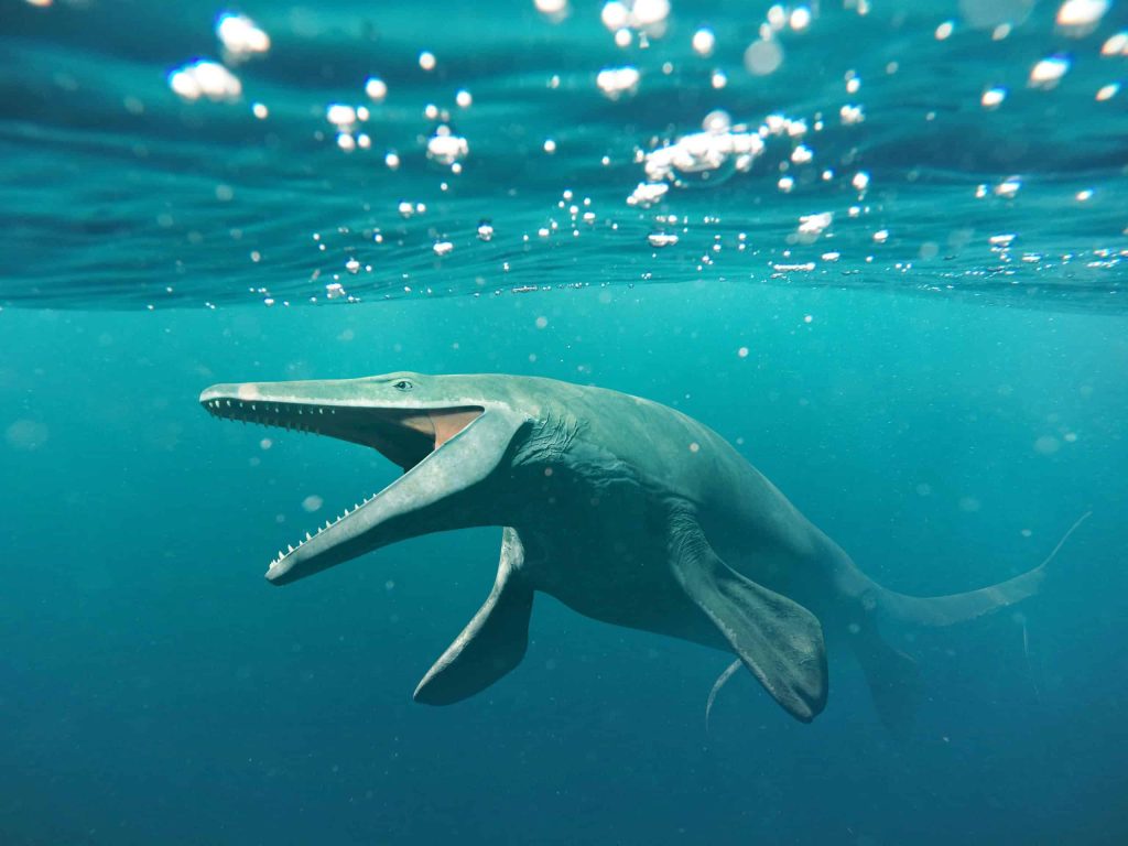 biggest sea creature